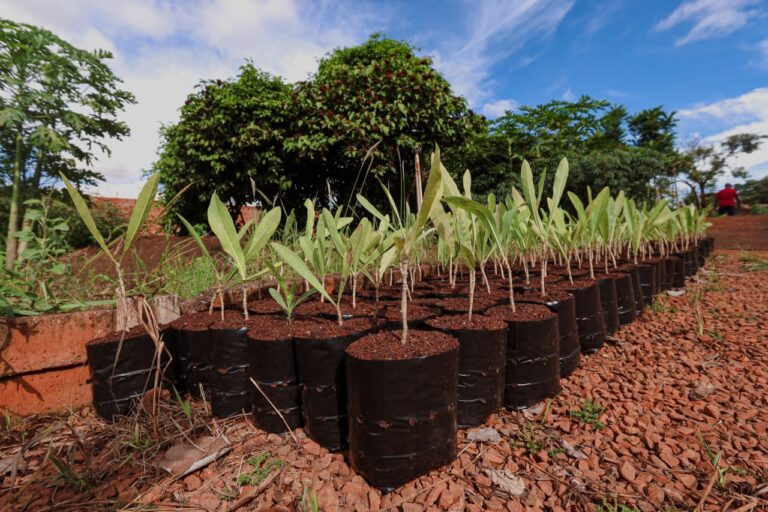 WhatsApp-Image-2026-03-19-at-09.48.02