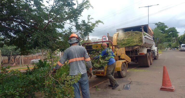 Poda-de-arvores-com-uso-de-triturador-12.03.26