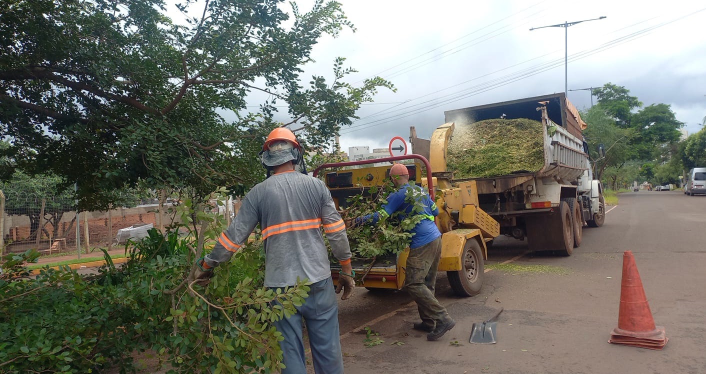 Poda-de-arvores-com-uso-de-triturador-12.03.26